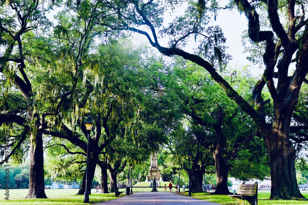 Savannah park, Georgia.