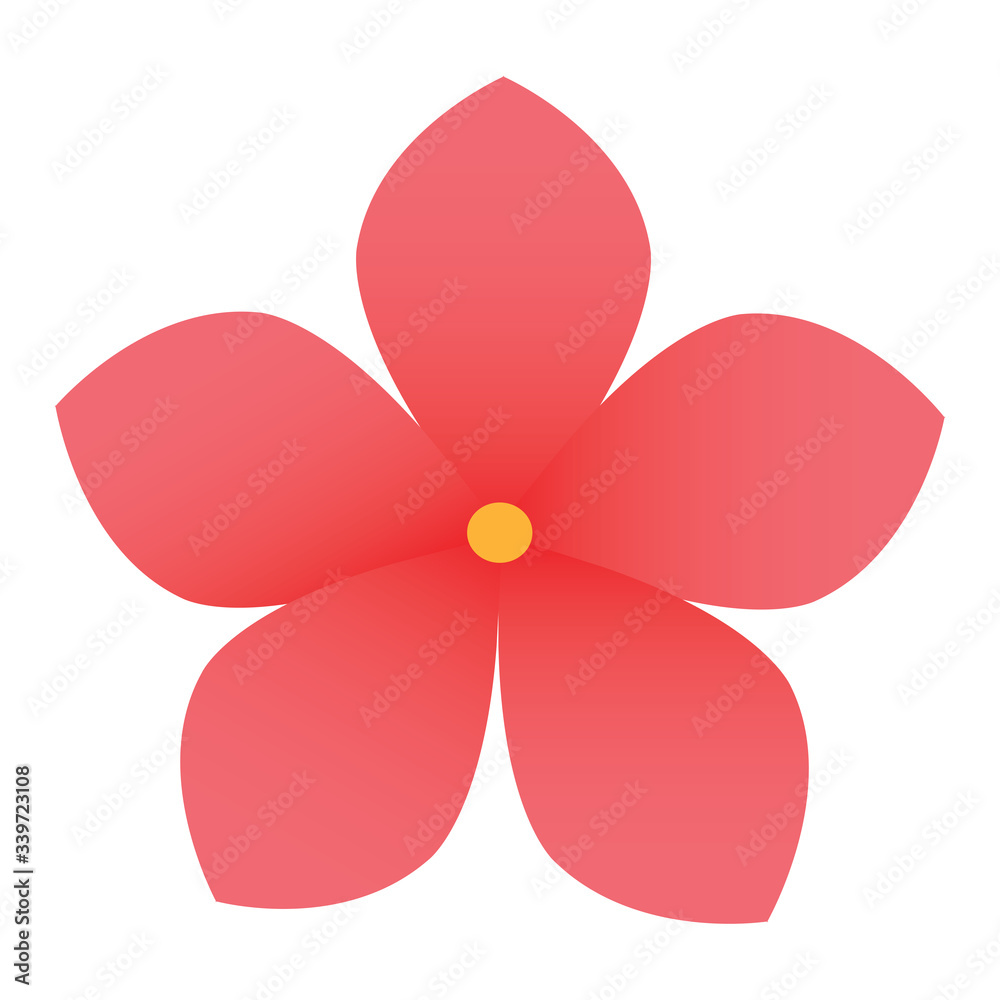 Isolated pink flower Isolated pink flower