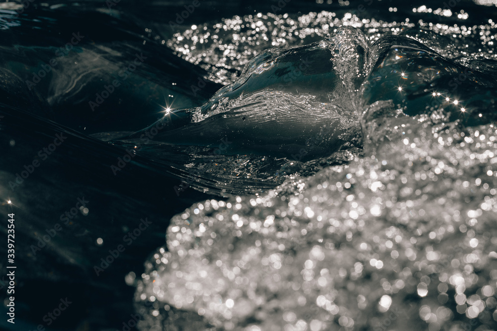 Fototapeta premium water splash in the pool