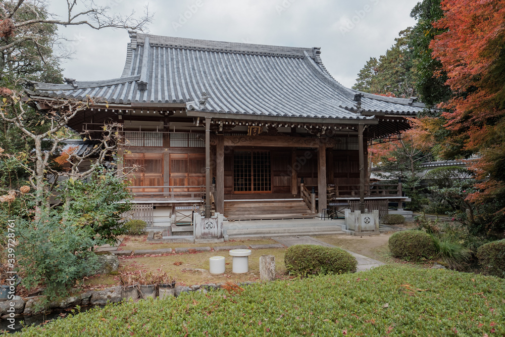 Autumn Leaves in a Temple in Kyoto, Japan