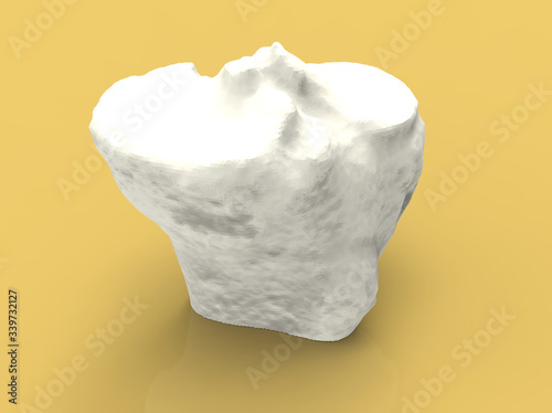 Wallpaper Mural Model of human bone, part of the knee, tibia, 3D render Torontodigital.ca