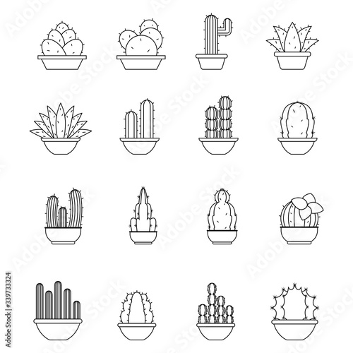 Set of cactus icons