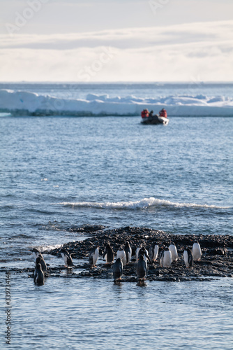 travellers watching Gentoo penguins at Brown Bluff, Antarctic Peninsula.