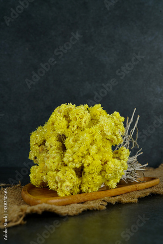 Photography Gold grass concept photo