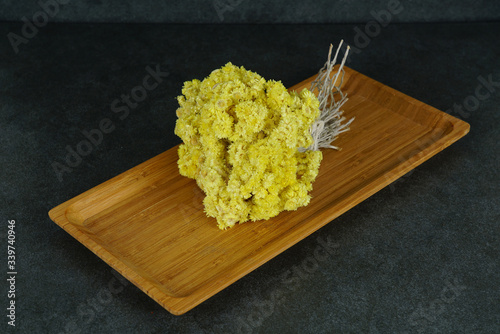 Photography Gold grass concept photo