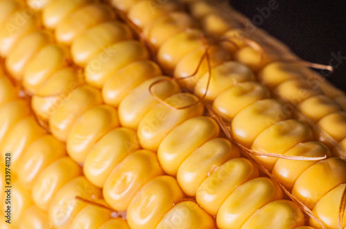 Vegetales MazorcaMaiz amarillo 