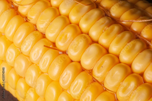 Vegetales MazorcaMaiz amarillo 