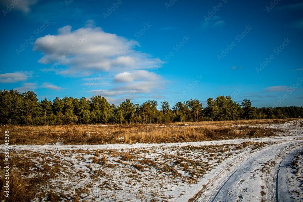 forest winter landscape, sky, clouds forest winter landscape, sky, clouds
