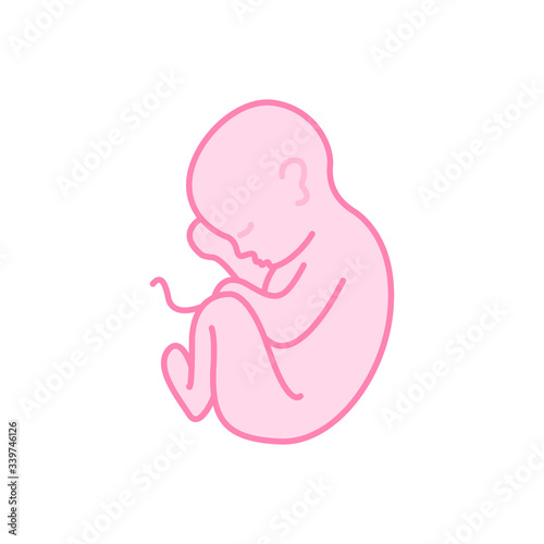 fetus vector icon
