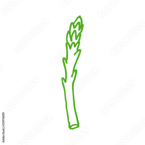 asparagus doodle icon