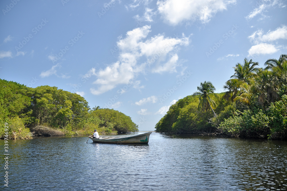Fototapeta premium Manglar
