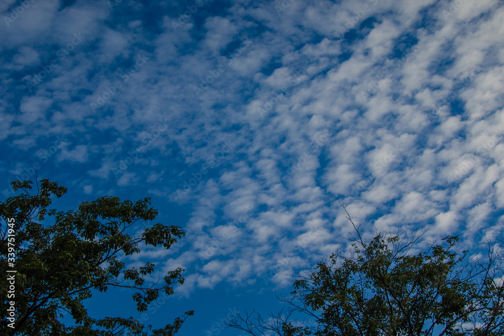 Fototapeta premium Beautiful blue sky and cloudy in Thailand
