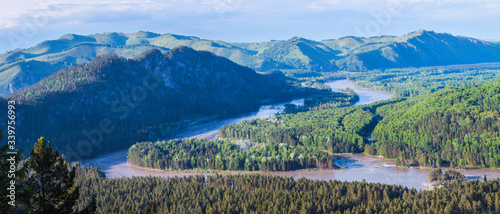 Panoramic view of the Katun river valley, Altai. Sunny day in early summer. Travel and vacation in the mountains.
