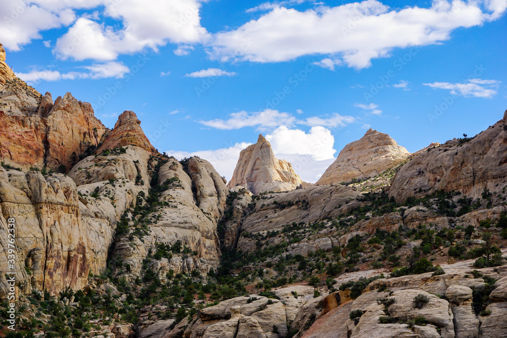 Fototapeta premium grand canyon national park