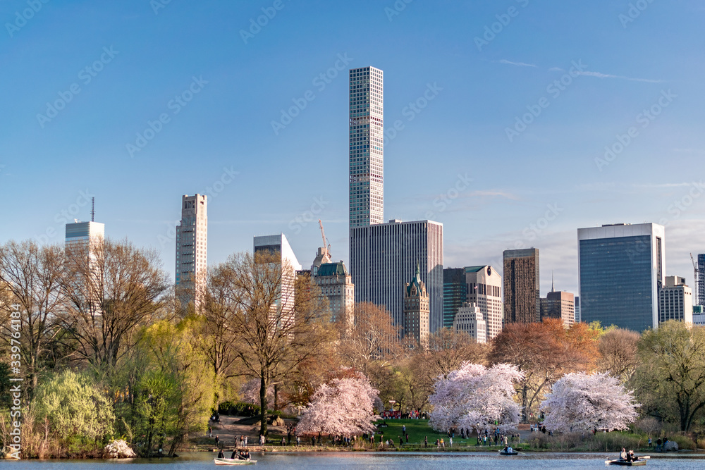 Naklejka premium Central Park Skyline