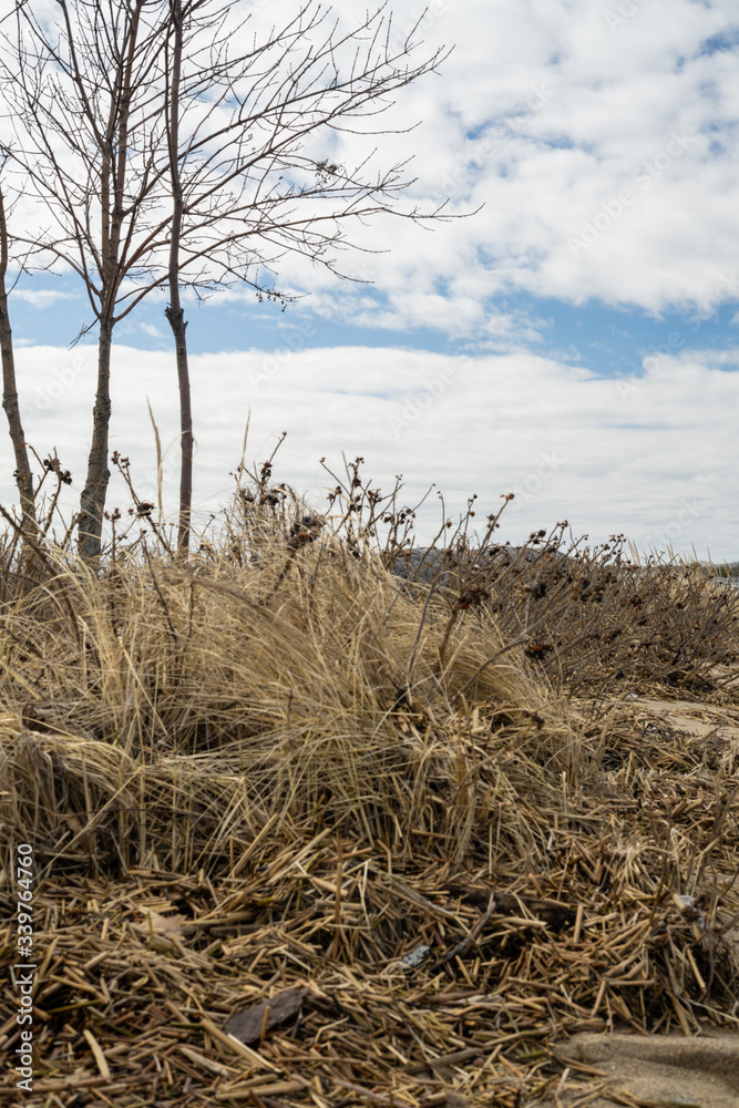 Fototapeta premium textured beach