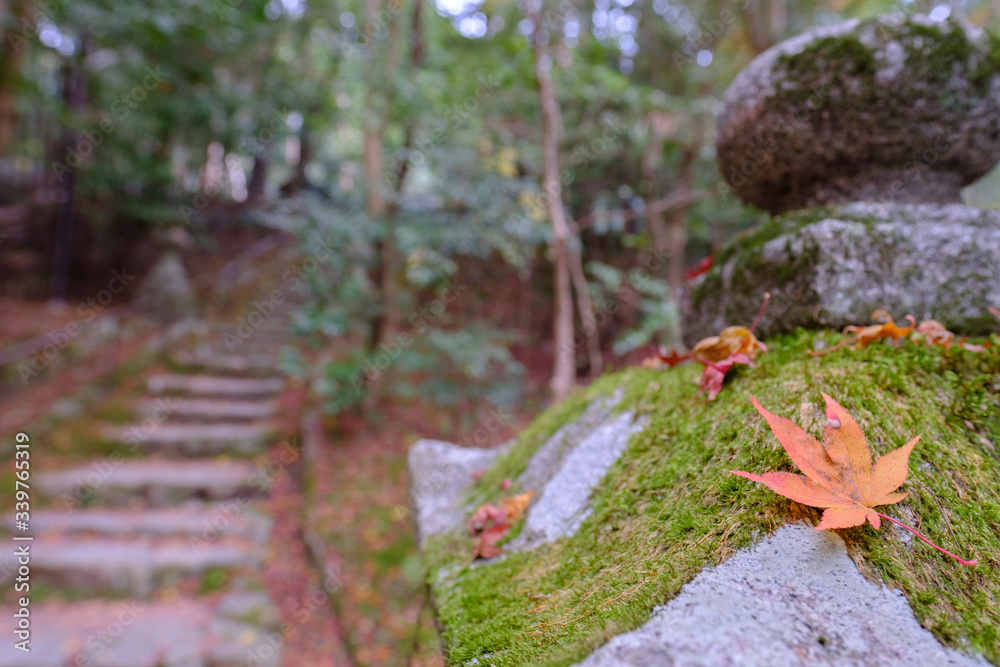 Obraz premium Sekizan Zen-in Temple in Kyoto, Japan