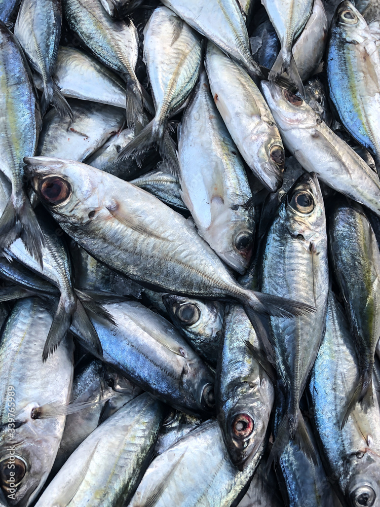 Obraz premium Photo of fresh fish on the counter supermarket