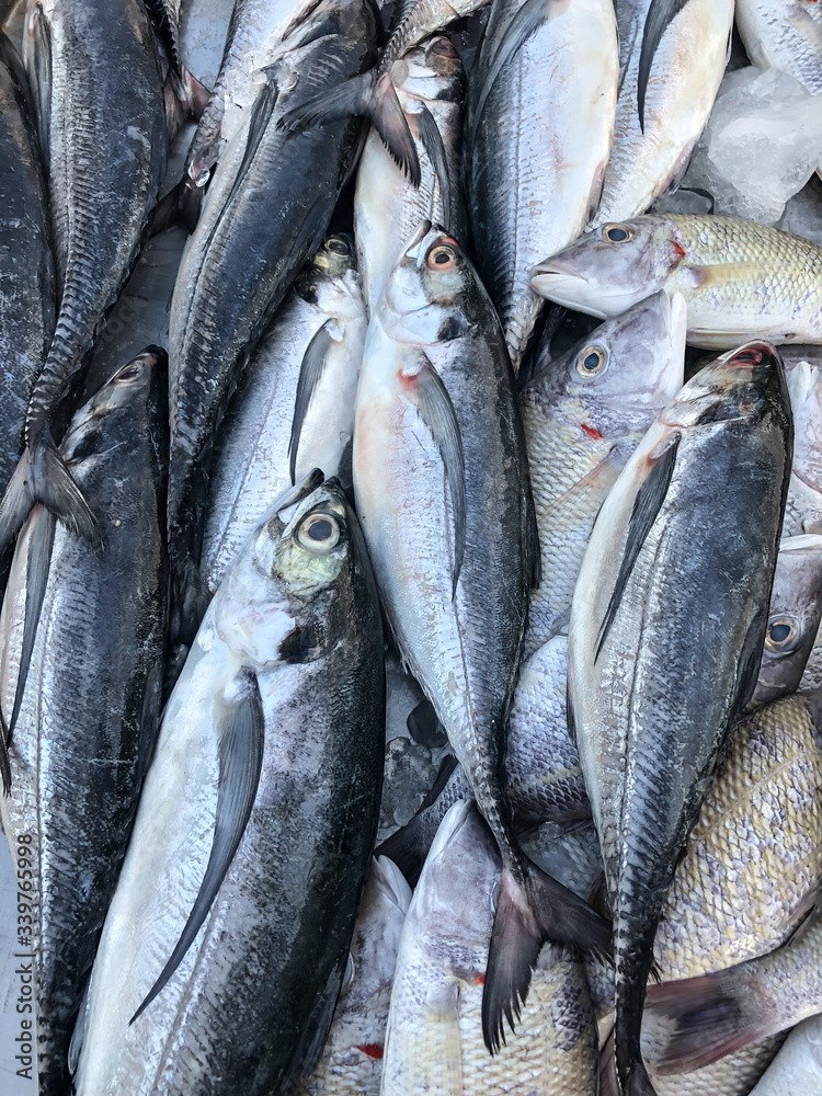 Obraz premium Photo of fresh fish on the counter supermarket