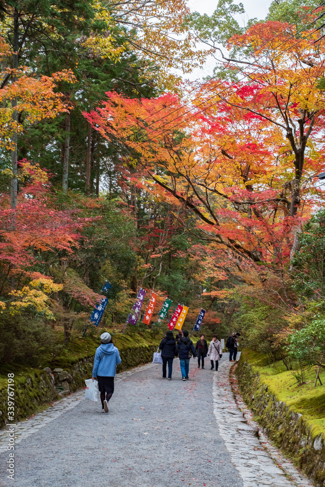 Sekizan Zen-in Temple in Kyoto, Japan