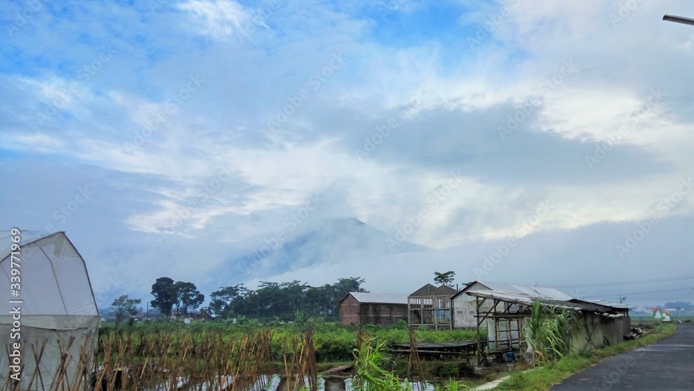 house on the village in central java in the morning house on the village in central java in the morning