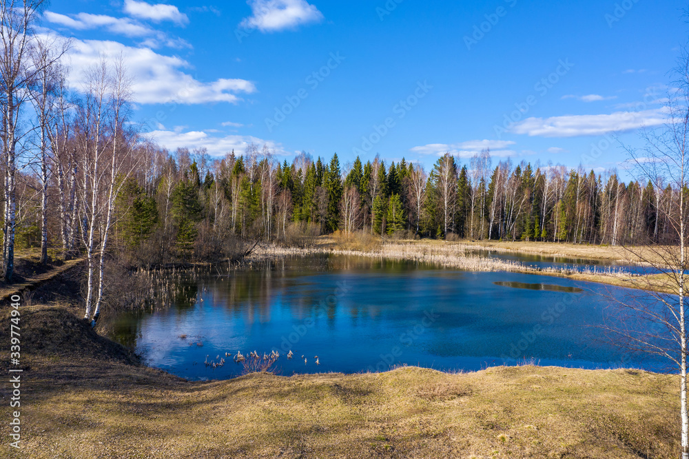 A small forest lake, reflecting a blue sky with white clouds.
