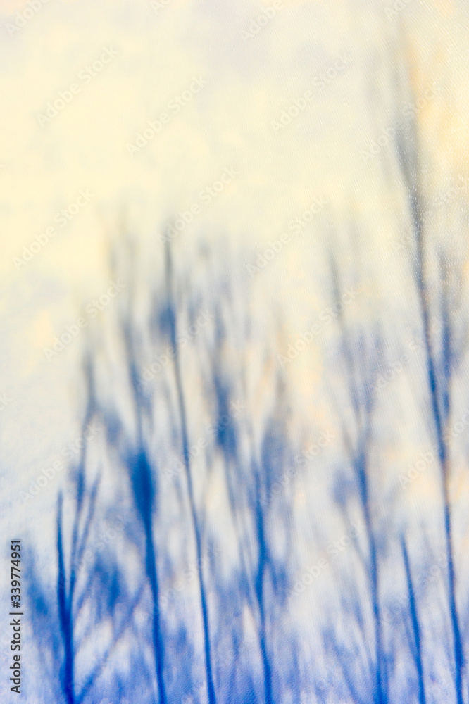 Abstract reflection in the water of tall blue trees without leaves.