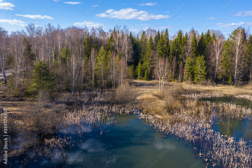 A small forest lake with last year's dry reed on a spring day. A small forest lake with last year's dry reed on a spring day.