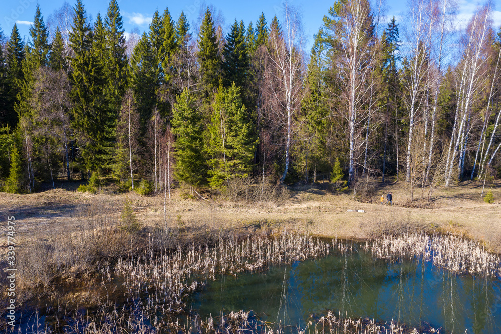 A small forest lake with last year's dry reed on a spring day.