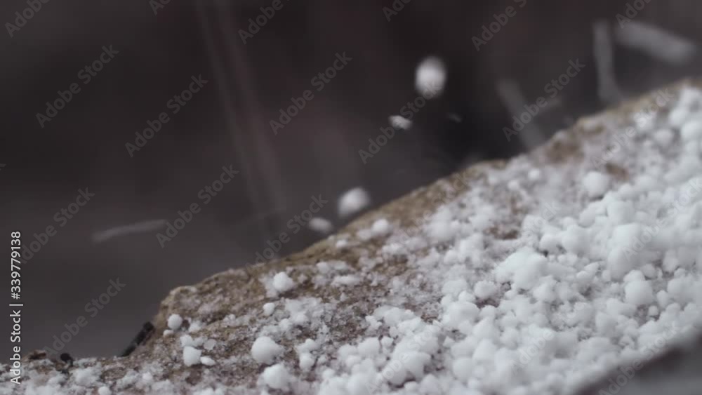Hard snow hailstones falling on pavement closeup Hard snow hailstones falling on pavement closeup