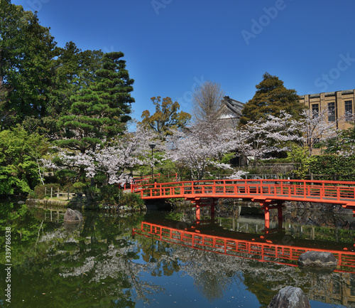 掛川市 掛川城近くの池