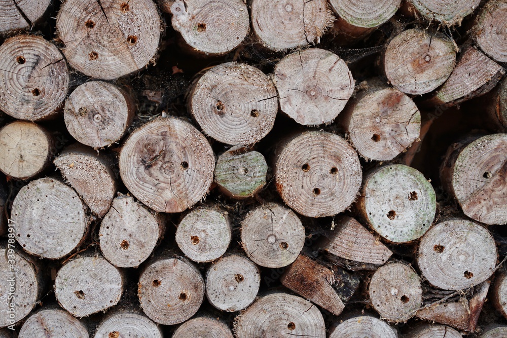 wood parts of an insect hotel shelter