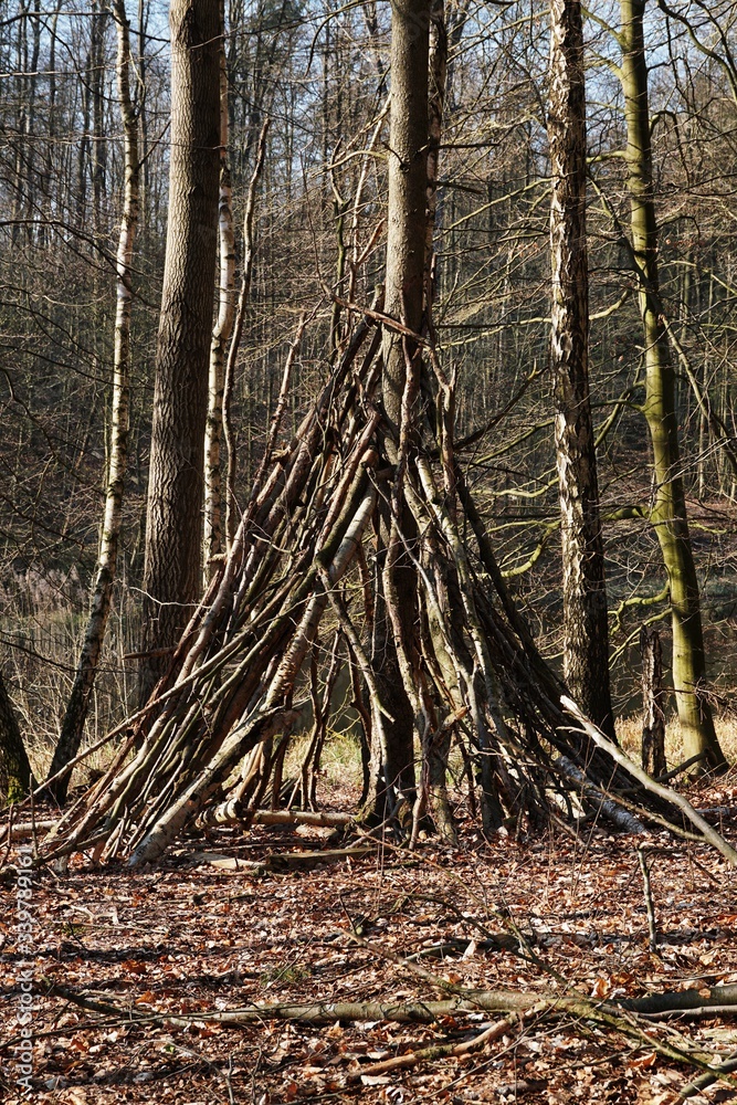Collected branches formed in the forest