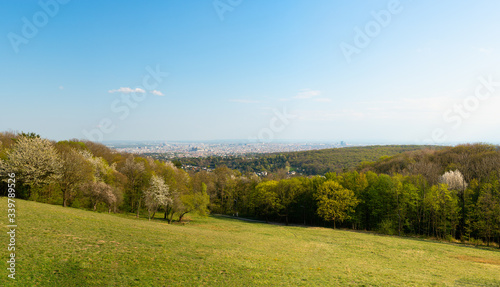 Vienna Sievering recreation area with beautiful view to the city.