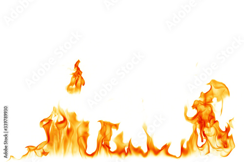 Fire flames white background.