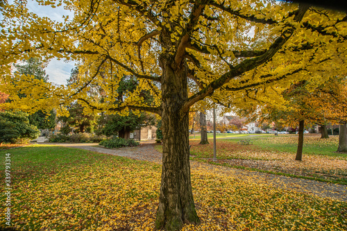 Fall Colors at Wright Park
