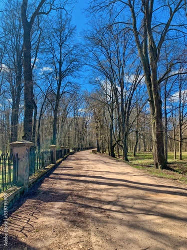 A park in Nesvizh  Belarus