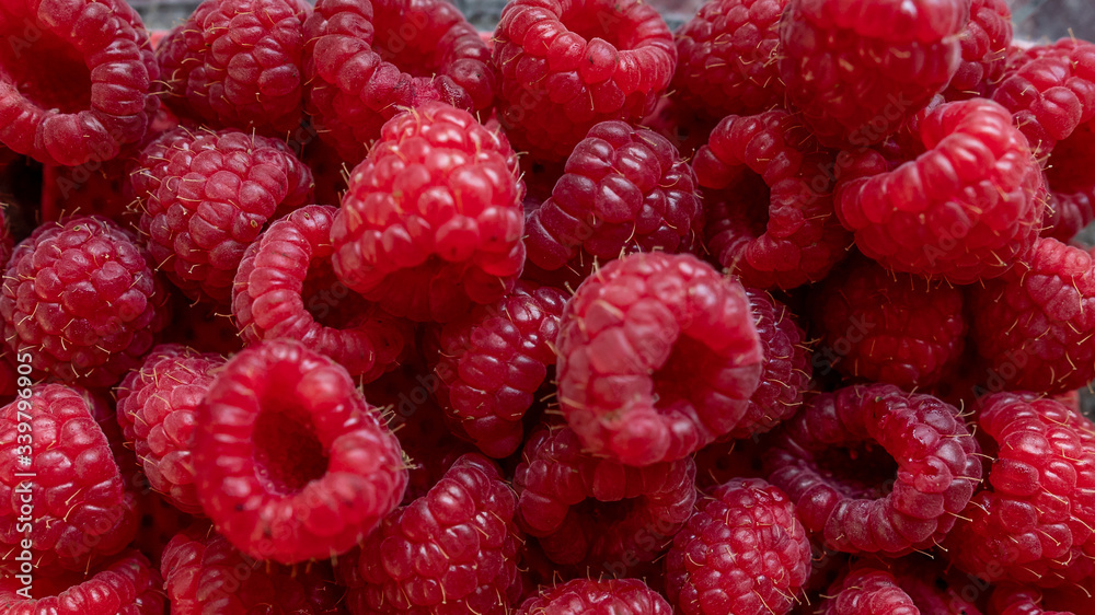 Gruppe Himbeeren - Frische Früchte - Beeren Gruppe Himbeeren - Frische Früchte - Beeren