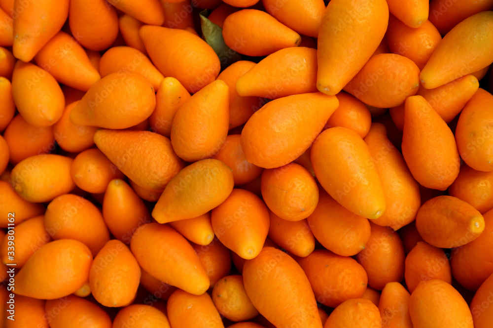 Heap of kumquat fruits . Citrus japonica is the scientific name, Food background and texture.