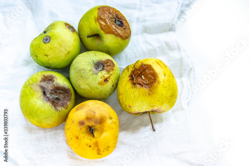 Top view of ugly rotten apples lying on a white surface.