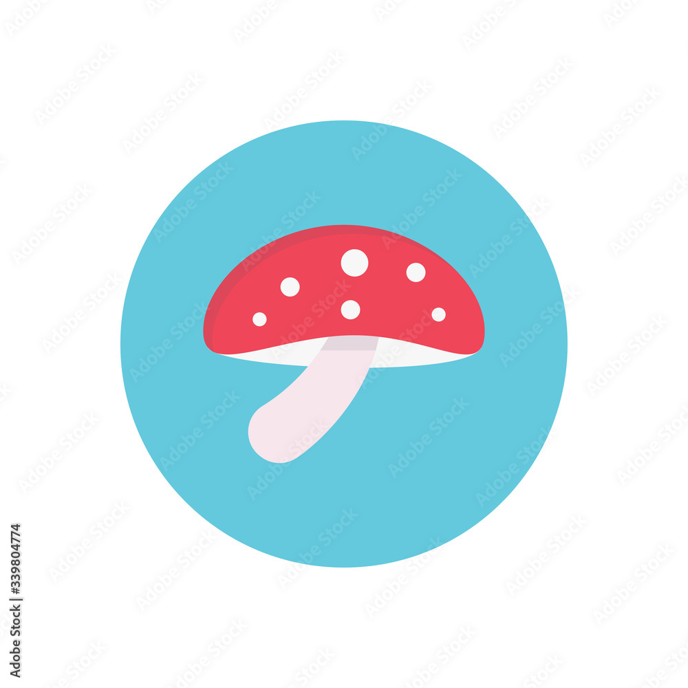 champignon champignon