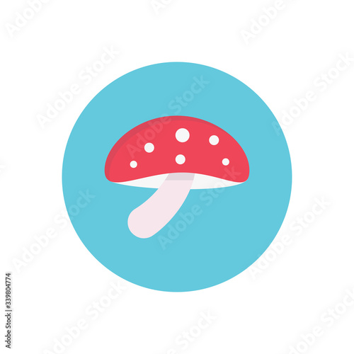 champignon