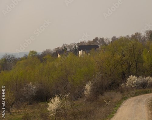 A beautiful village on the edge and some trees in the spring.