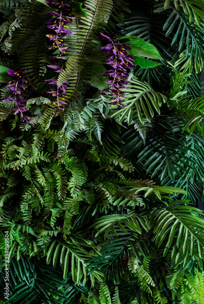 A variety of forest garden walls such as orchids,various fern leaves,palm leaves and many more. A variety of forest garden walls such as orchids,various fern leaves,palm leaves and many more.