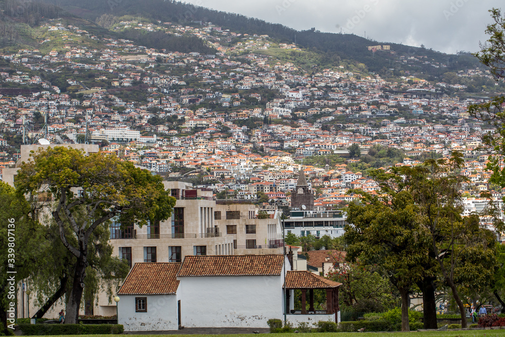 Typical terrace architecture on the steep slopes of Funchal on the Madeira island. Portugal