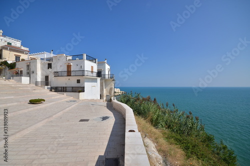 landscape in Vieste Italy