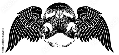 A winged skull graphic. Original illustration in a vintage engraving woodcut etching style.