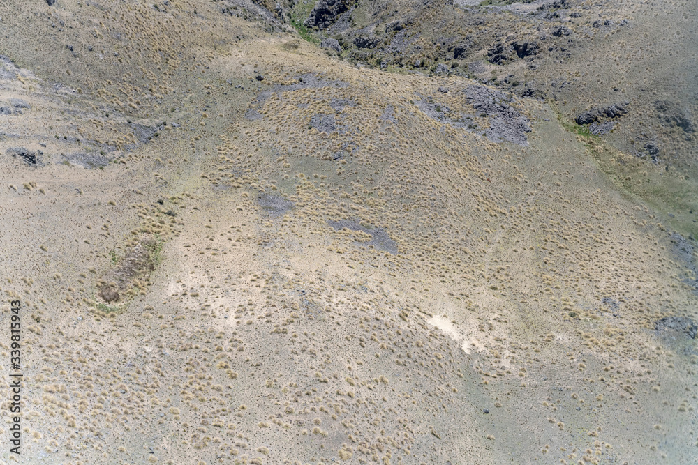 Obraz premium scant vegetation on mt. St.Cuthbert barren slopes, near Omarama, New Zealand