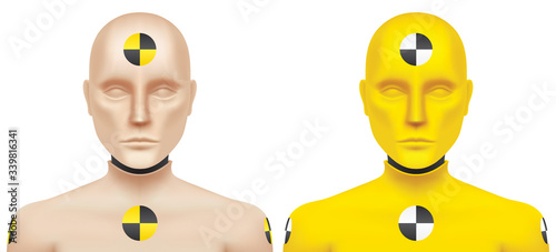 Crash test dummy, vector illustration. Set of skin and yellow colour, car safety testing manikins, looking at camera, isolated on a white background.
