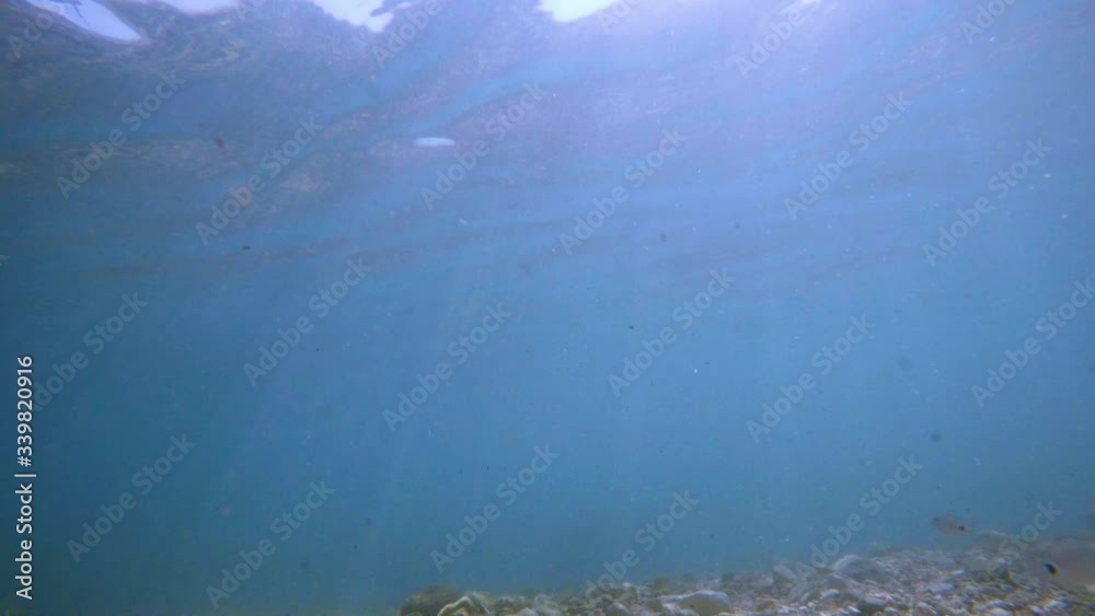 Sun rays sun beams underwater. Underwater shot of ecosystem and ocean floor in turquoise ocean. Sun rays sun beams underwater. Underwater shot of ecosystem and ocean floor in turquoise ocean.